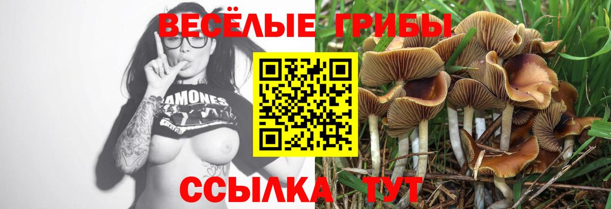Свободный  Галлюциногенные грибы MAGIC MUSHROOMS  Вход с VPN  Галлюциногенные грибы Magic Shrooms 