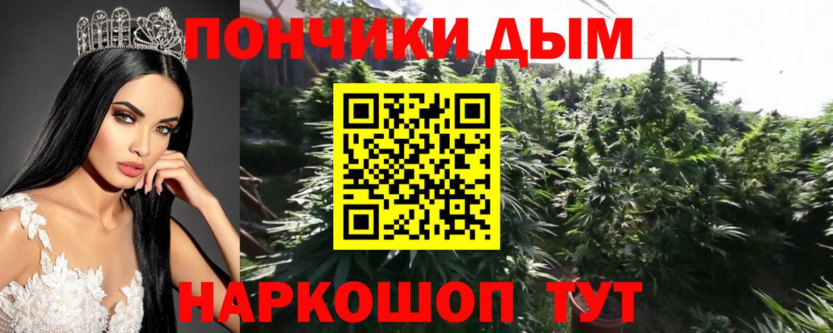 Бошки Шишки LSD WEED Свободный